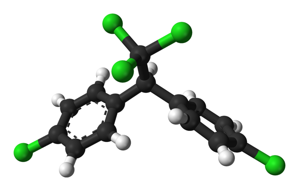 Ball-and-stick molecular model of DDT, an organochlorine pesticide